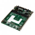 Startech.com Adaptador Conversor Ssd Msata Accs