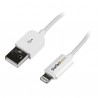 startech-com-cable-3m-lightning-8-pin-a-usb-2-para-apple-i-2.jpg