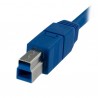 startech-com-cable-usb-3-superspeed-de-1-metro-a-macho-b-2.jpg