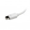 startech-com-adaptador-mini-displayport-a-cabl-3.jpg