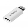 startech-com-adaptador-de-conector-apple-lightning-8-pines-a-2.jpg