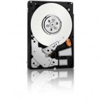 Fts Hd Sata 6g 250gb 7.2k Hot Plug Int