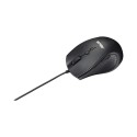 ASUS UT415