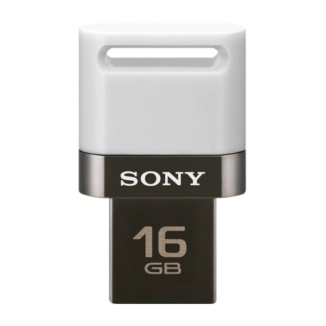 sony-16gb-usmsa3-1.jpg