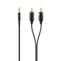 Belkin Mini-Stereo/RCA Audio Cable 1m