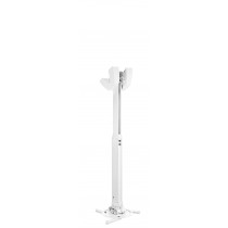 vogel-s-ppc-1555-1.jpg