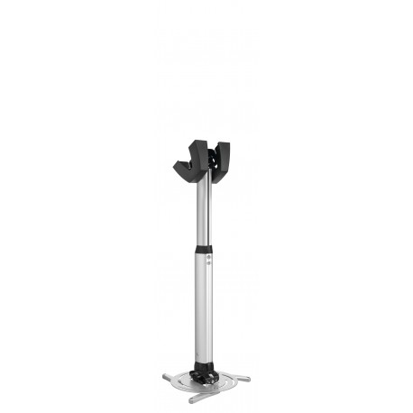 vogel-s-ppc-2555-1.jpg