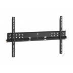 Vogel S Pfw 5505 Wall